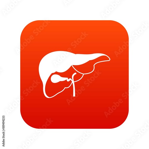 Liver icon digital red