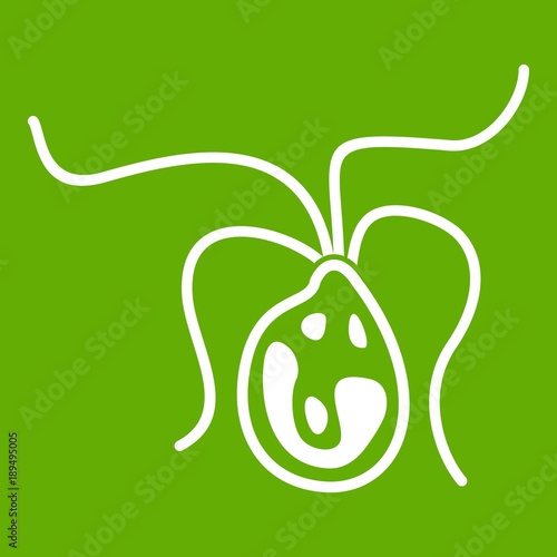 Bacterial cell icon green