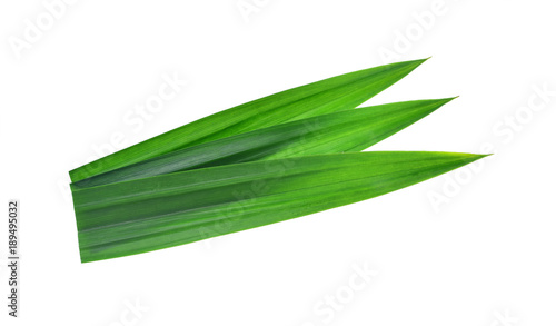 fresh green pandan leaves isolated on white background