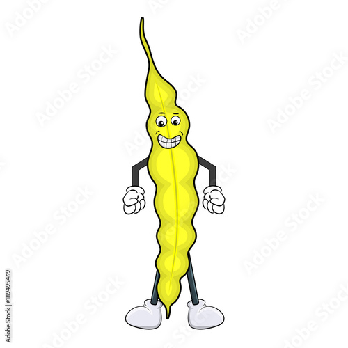 funnny cartoon string bean  isolated on white background