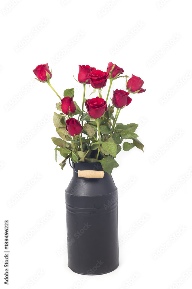 Naklejka premium Red roses isolated on white background