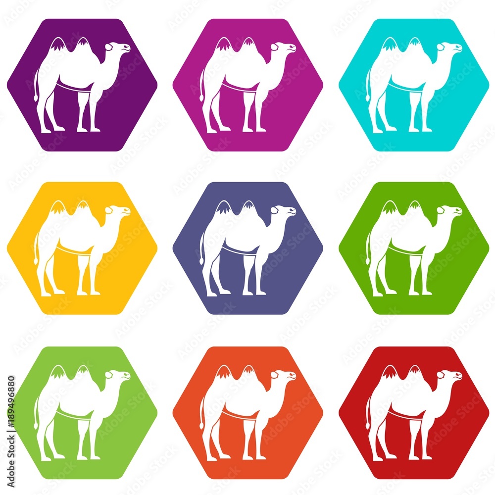 Camel icon set color hexahedron Camel icon set color hexahedron