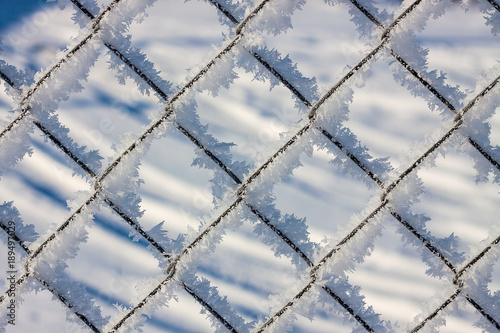 metal mesh in the hoarfrost
