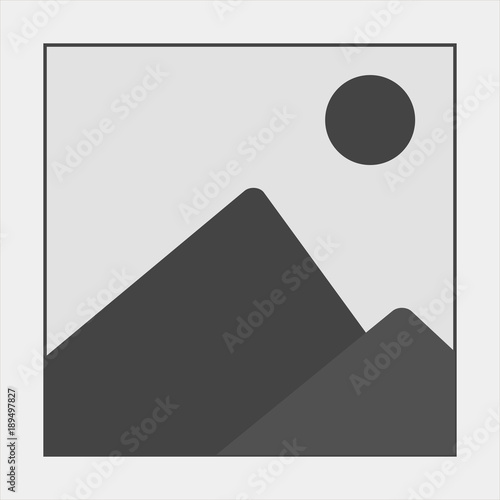 Picture vector icon on grey background
