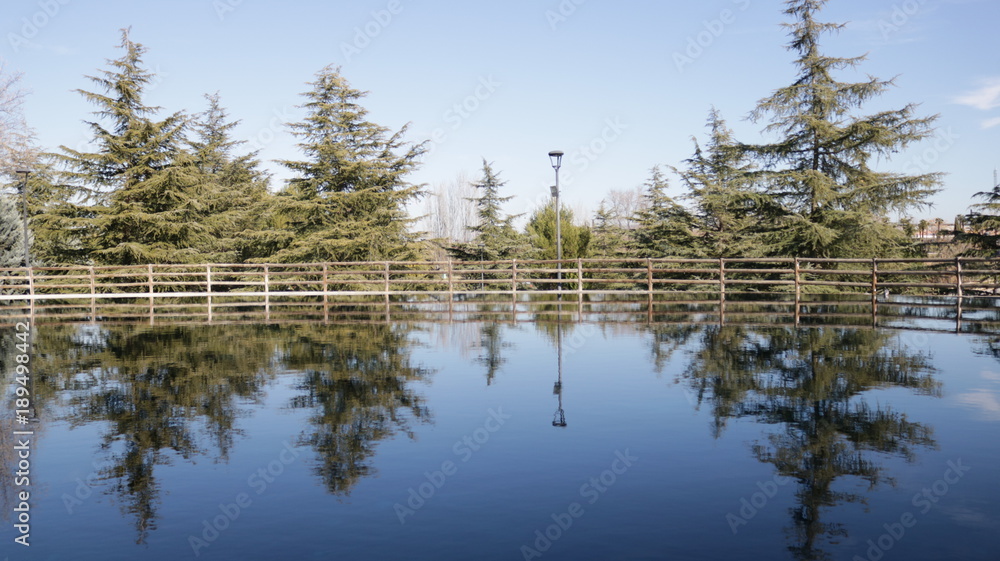 lago-reflejo-bosque-agua lago-reflejo-bosque-agua