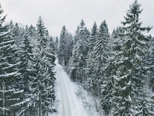 A country road in forest. Winter landscape