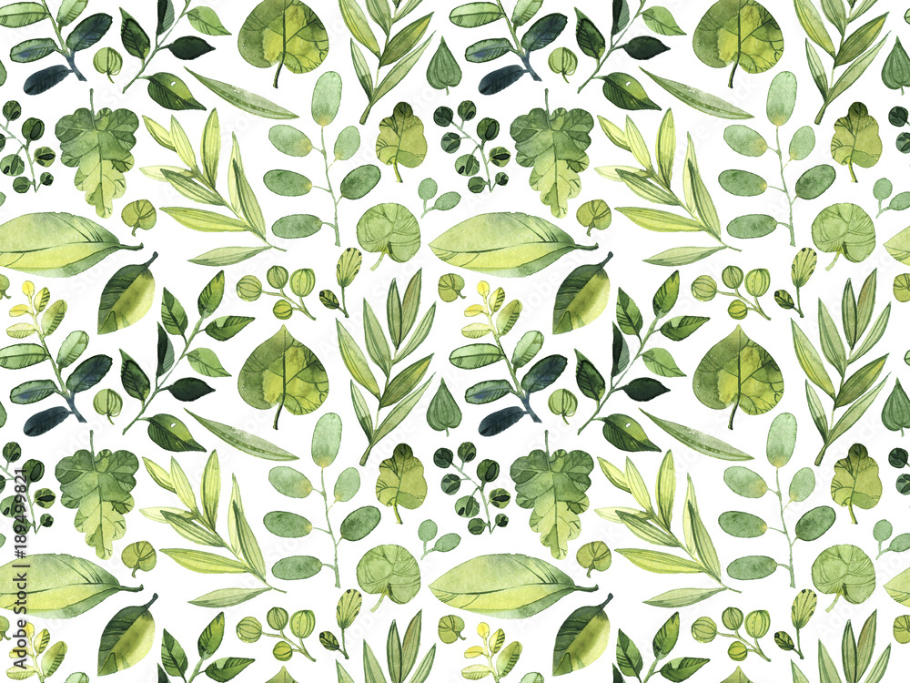 Watercolor seamless pattern. Green leaves of different plants on a white background.