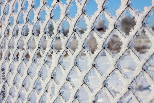 metal mesh in the hoarfrost