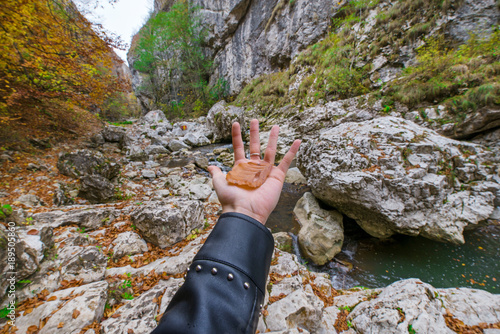 Young girl in black leather jacket holding a fallen leaf. Small mountain river with rocks covered with bright yellow, red, orange autumn leaves deep in the forest. Cliffs in Cheile Rametului, Romania photo