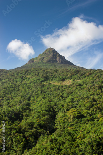 Sri Lanka  Adam s Peak. Mountain  blue sky  green trees