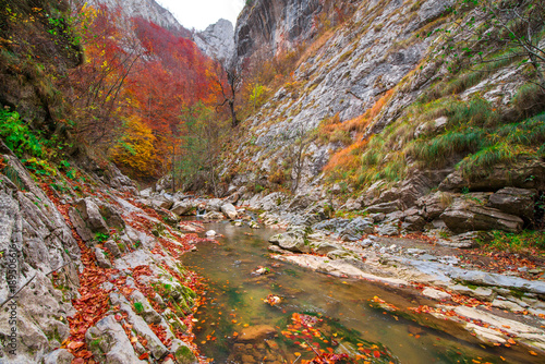 Small mountain river with rocks covered with bright yellow, red, orange autumn leaves deep in the forest. Cliffs in Cheile Rametului, Romania. Beautiful, calming and relaxing nature background photo