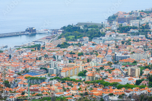 Landscape with town. View of Funchal © Luba Shushpanova