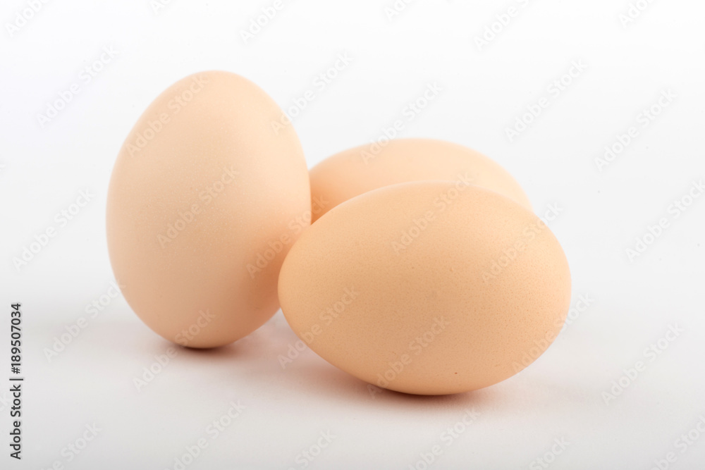 chicken egg on white background chicken egg on white background