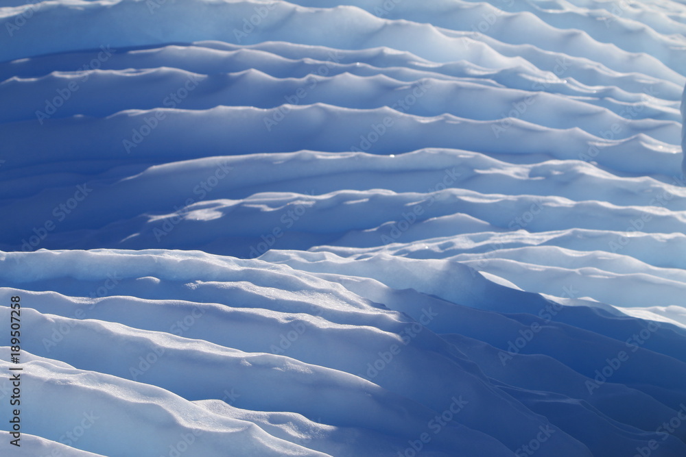 fałdy ze śniegu w odcieniu białym i niebieskim oświetlone niskim słońcem - obrazy, fototapety, plakaty 