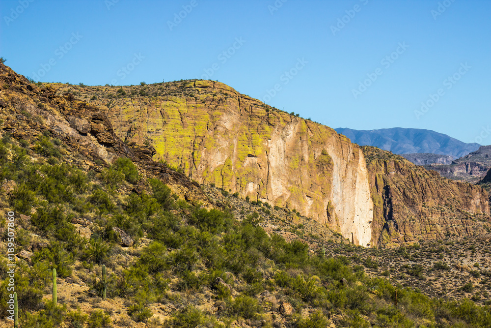 Sheer Moss Covered Mountain Cliffs