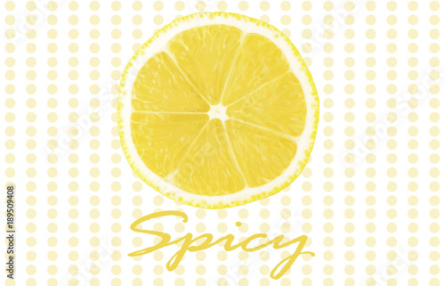 Fresh lemon: whole lemon and lemons slices.. Vector illustration.
