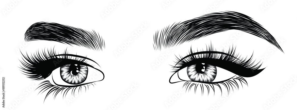 Fototapeta premium Hand-drawn woman's fresh luxurious eye with perfectly shaped eyebrows and full lashes. Idea for business visit card, typography vector. Perfect salon look.