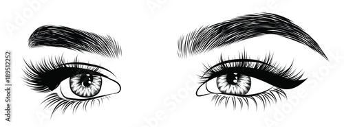 Hand-drawn woman's fresh luxurious eye with perfectly shaped eyebrows and full lashes. Idea for business visit card, typography vector. Perfect salon look.
