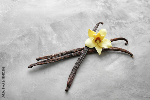Vanilla sticks and flower on grey background