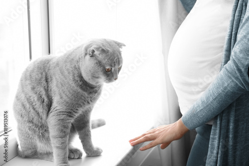 Fototapeta Naklejka Na Ścianę i Meble -  Pregnant young woman with cute pet cat near window at home