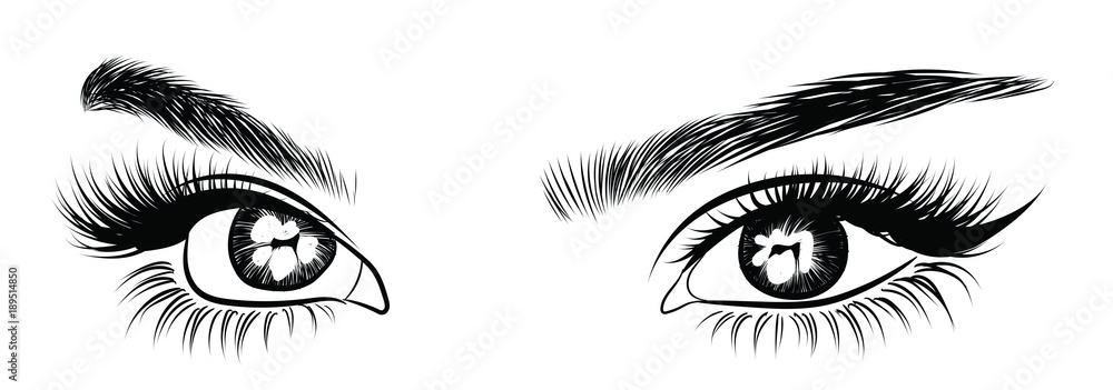 Hand-drawn woman's sexy exotic luxurious eye with perfectly shaped eyebrows and extra creative full lashes. Idea for business visit card, typography vector. Perfect salon look.