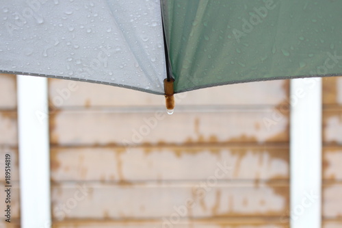 rain drop rain day umbrella concept 