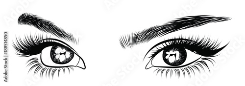 Hand-drawn woman's sexy exotic luxurious eye with perfectly shaped eyebrows and extra creative full lashes. Idea for business visit card, typography vector. Perfect salon look.