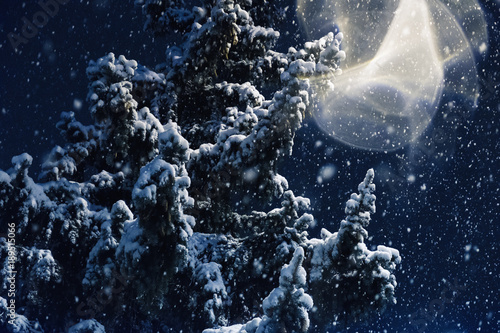 Snowfall, flying snowflakes...