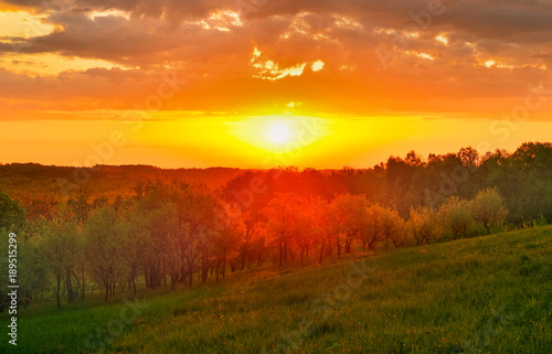 Spring meadow at sunrise © denis_333