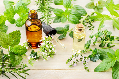 fresh herbs, leaves, flowers and essential oil on the wooden board photo