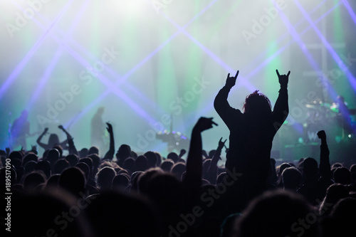 Music fans enjoying concert