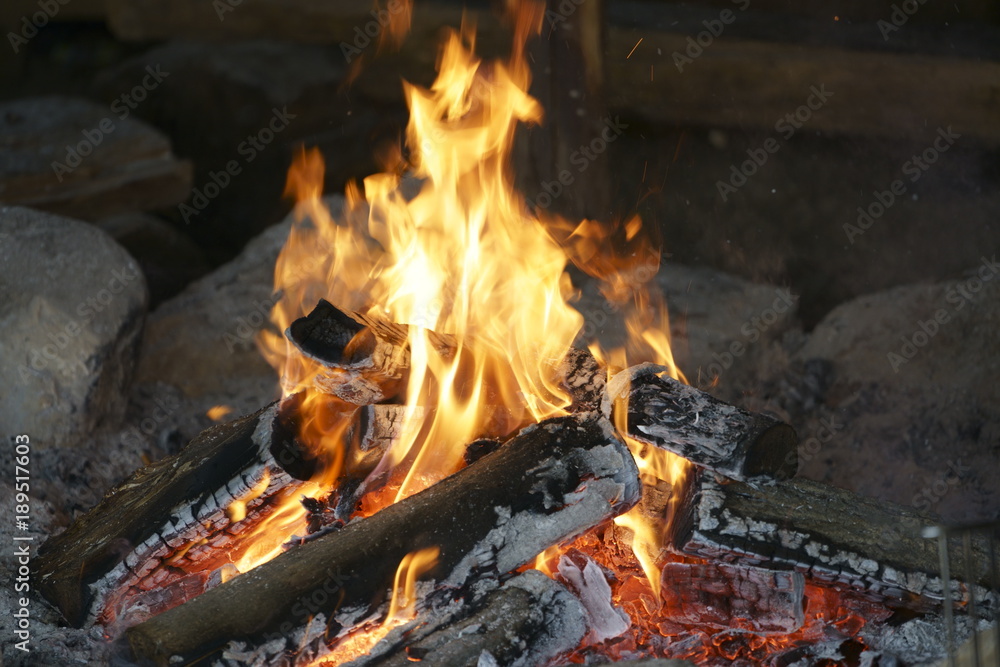 Bonfire in a campfire  with bright fire burning on the beach at sunset. firewood.