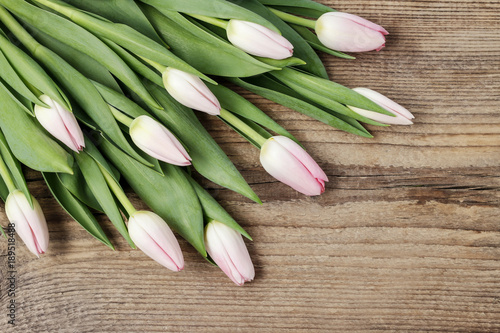 Pink tulips on brown wooden background