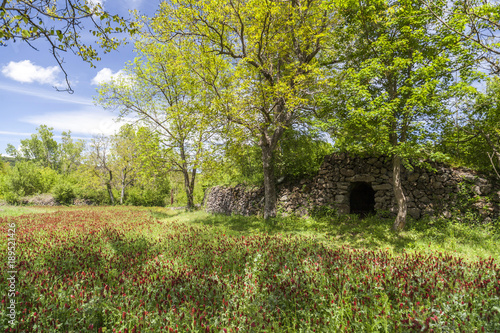 Parc de Pedra Tosca,Park Pumice stone,project by RCR Arquitectes,volcanic area La Garrotxa.Les Preses,Catalonia,Spain.