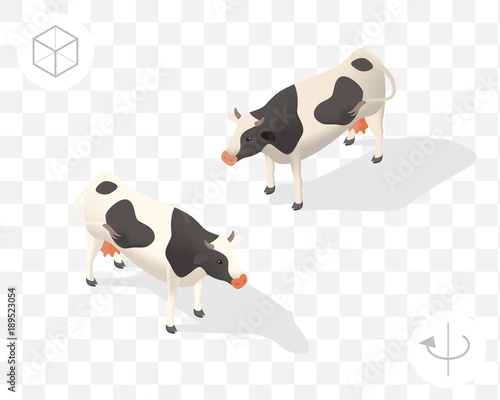 Cow with Shadows on Transparent Background