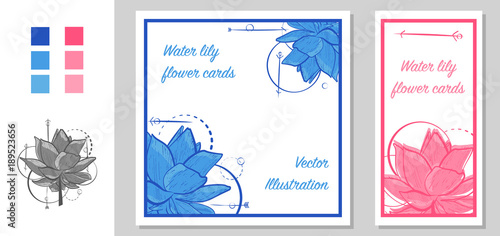 Water lily cards