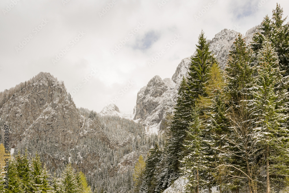 Berge mit Bäumen und Schnee in den Berchtesgadener Alpen im Frühling Berge mit Bäumen und Schnee in den Berchtesgadener Alpen im Frühling