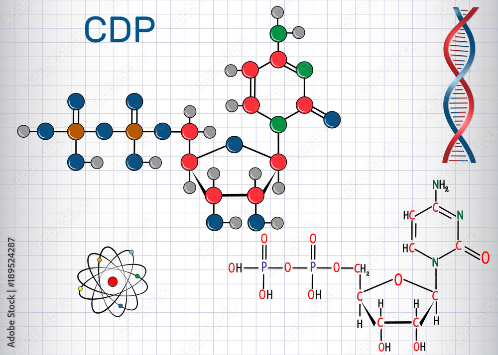 Cytidine diphosphate (CDP) molecule, it is nucleoside molecule