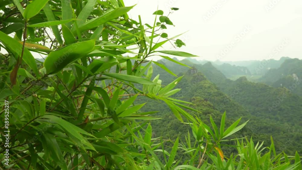 Beautiful views of the Green Mountains in Vietnam. Green thickets at top. The nature in Vietnam. National park. Adventure background. Beautiful views of the Green Mountains in Vietnam. Green thickets at top. The nature in Vietnam. National park. Adventure background.