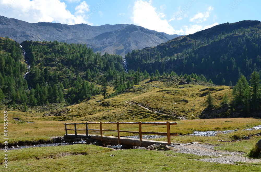 Bergidylle im Sommer auf einer Südtiroler Alm
