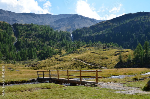 Bergidylle im Sommer auf einer Südtiroler Alm