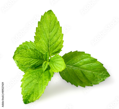 Tableau sur toile closeup of fresh spearmint leaves isolated on white background