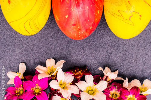 close-up of colorful easter eggs and saxifraga bryoides or mossy saxifrage flowers on stone background with copy space. border template, easter greeting and holiday card. photo