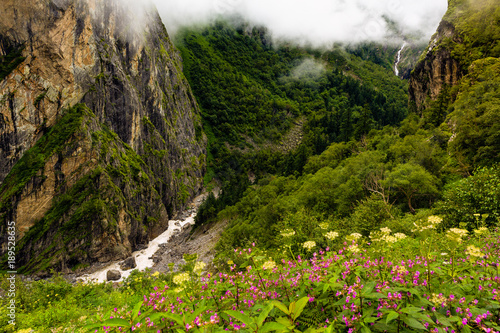 Fotografie Beautiful Trek in Uttarakhand called Valley of Flowers in Himalayas, Nanda Devi