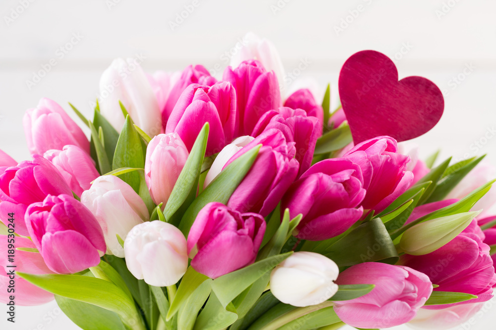 Fototapeta premium Pink tulip on the white background. Easter background