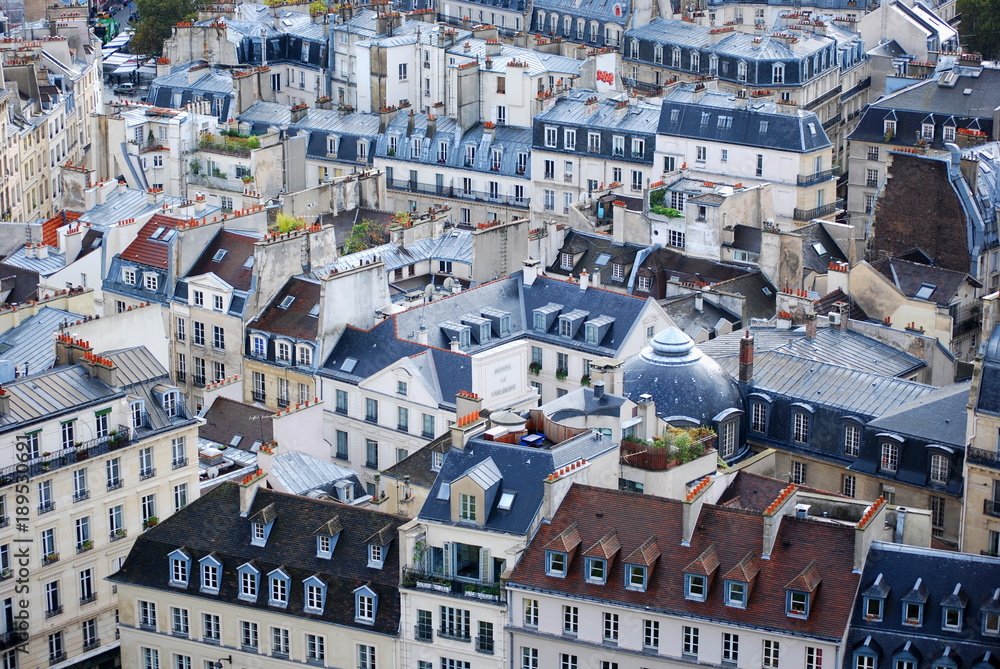 Fototapeta premium Typical Paris roof tops across the Paris skyline