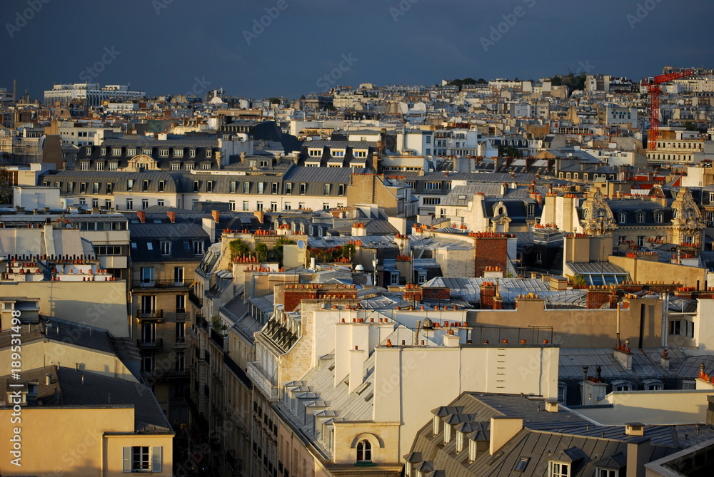 Typical Paris roof tops across the Paris skyline