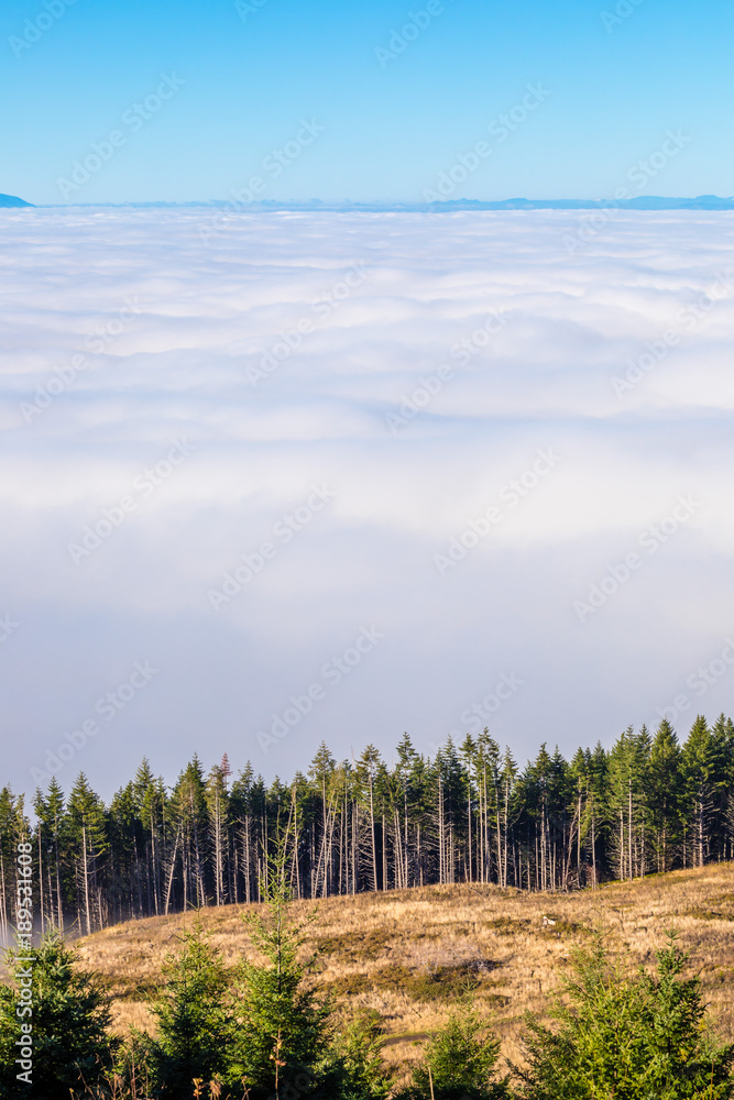 Above the Clouds in Coburg Hills of Oregon