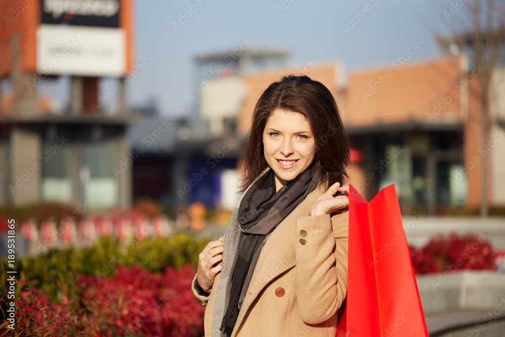 Fototapeta premium young woman doing shopping with paper bags