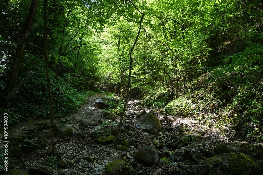 Rastenbachklamm, Südtirol, Italien Rastenbachklamm, Südtirol, Italien
